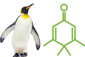 penguinone-peak-scientific