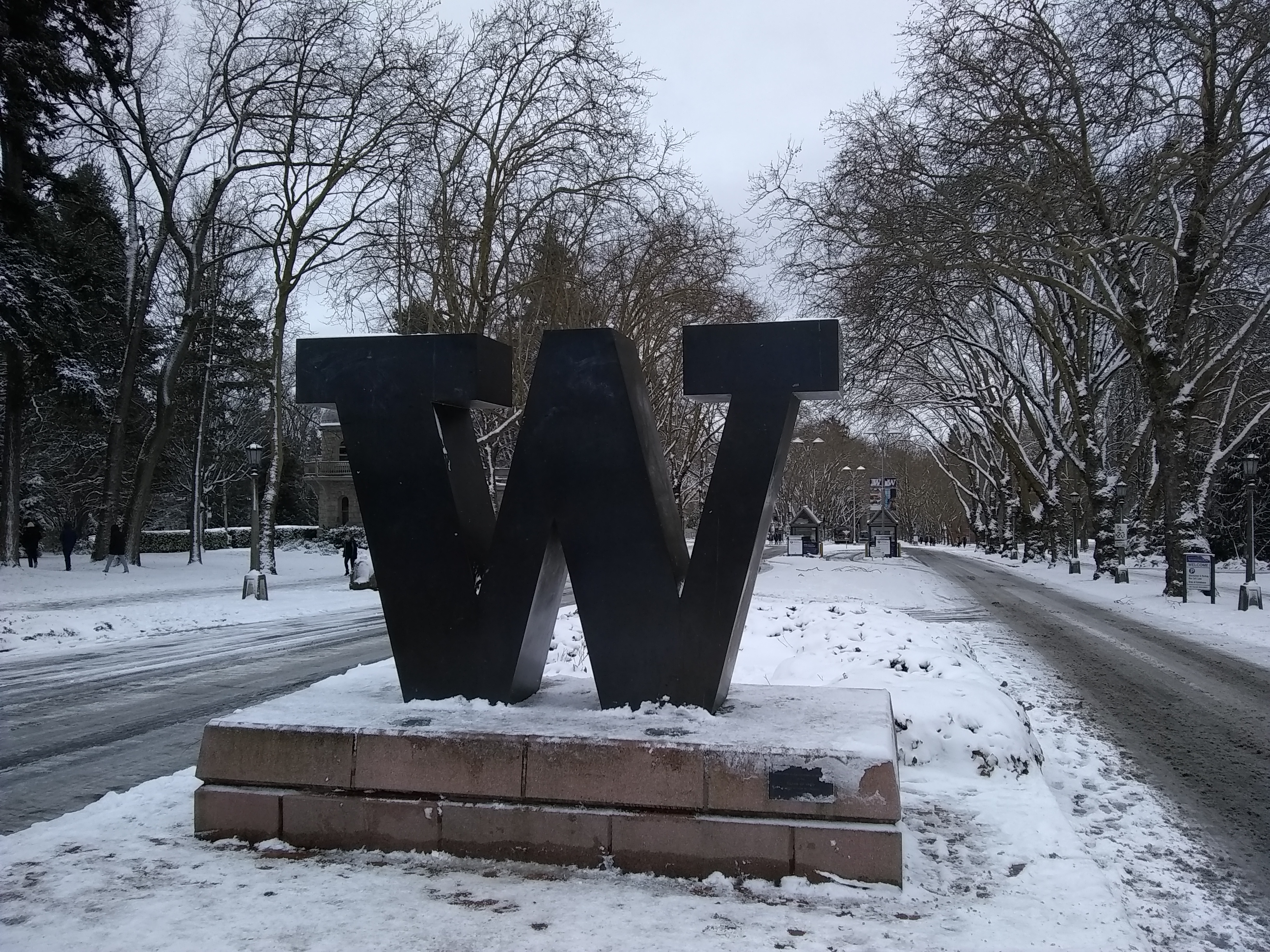 The "W" from the University of Washington.
