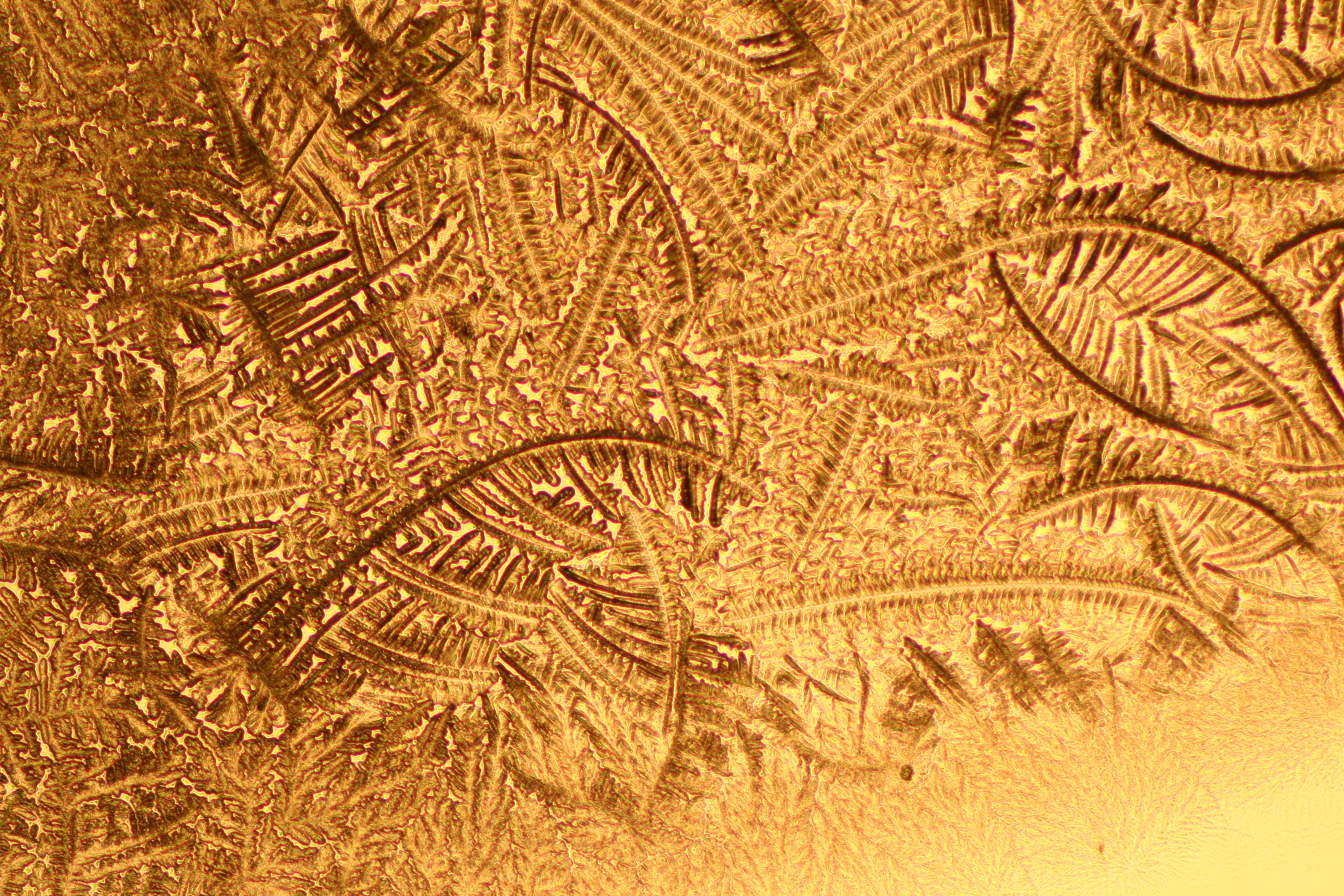 Image of crystallized salt after drying a hydrogel