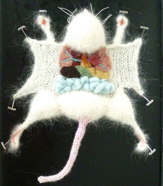 a knitted mouse being dissected