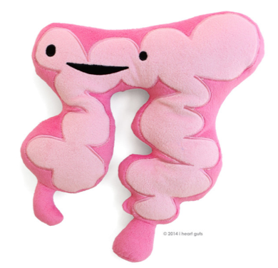 a plush large intestine