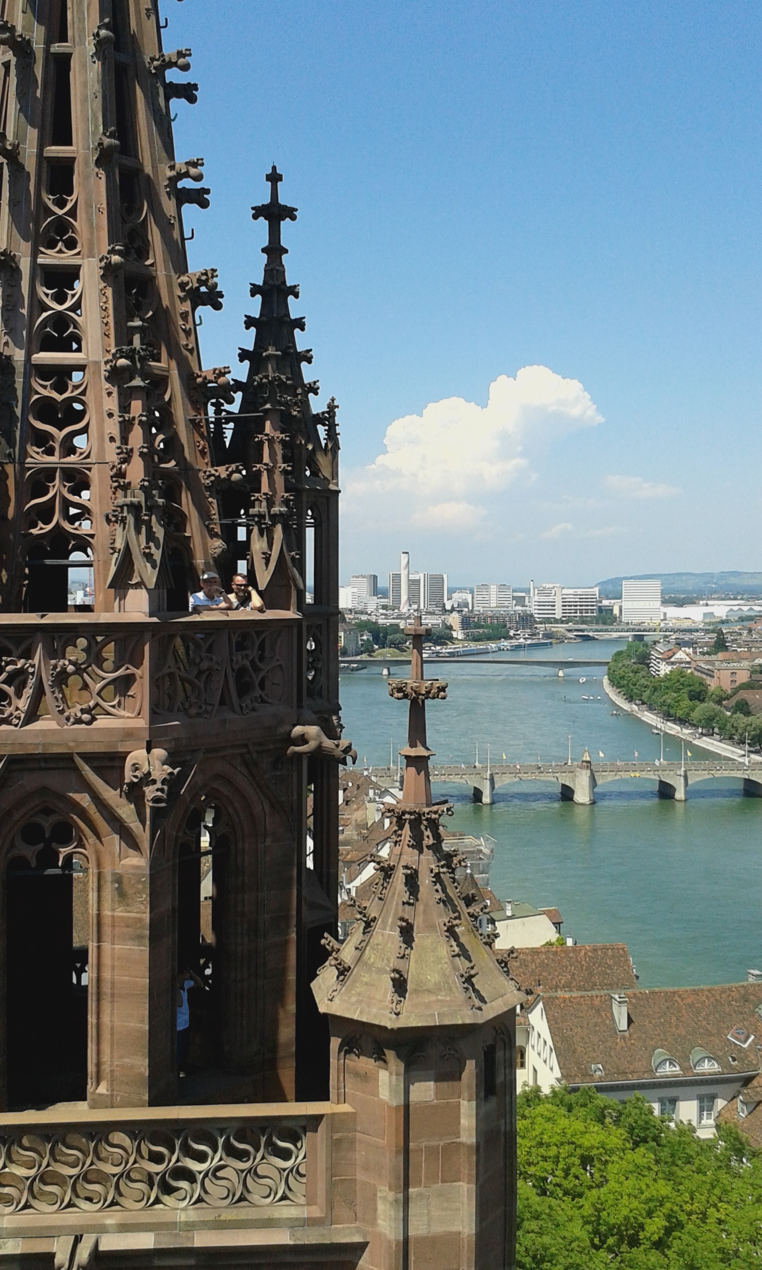 View from the top of the Münster in Basel.