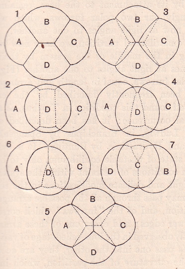 ogf-fig-135