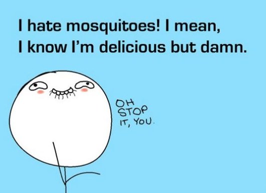 mosquitoes-meme