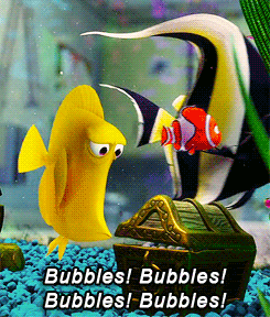 Gif of a yellow fish in a fish tank getting all excited about bubbles