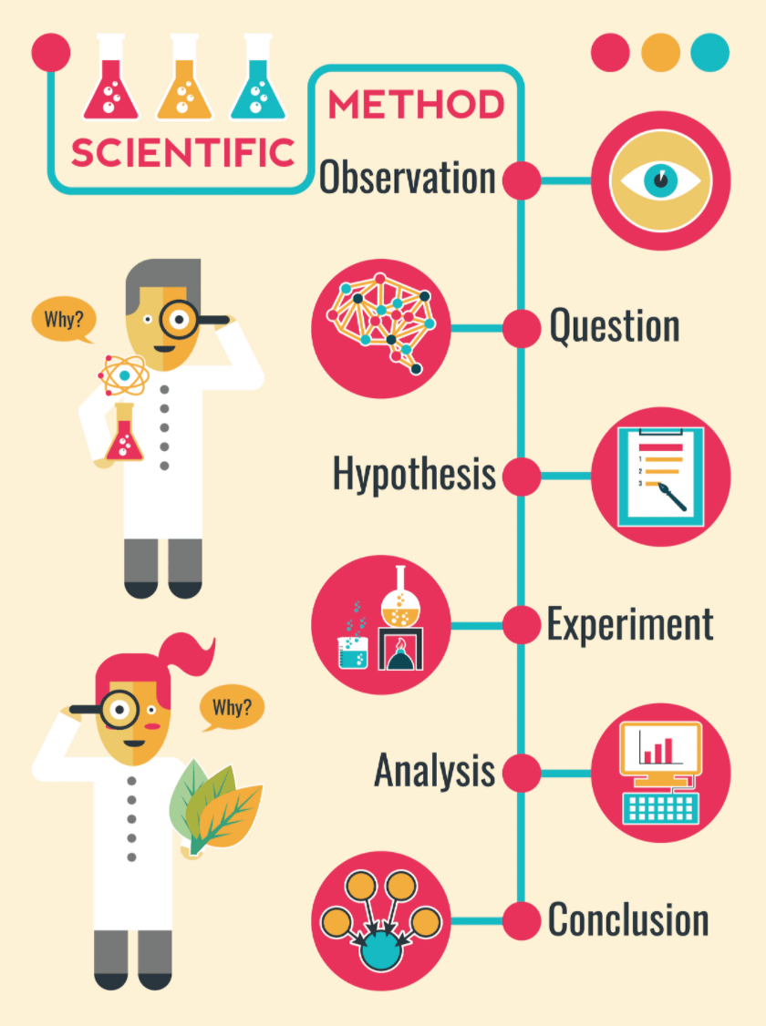 The Scientific Method: Obervation, Question, Hypothesis, Experiment, Analysis, Conclusion