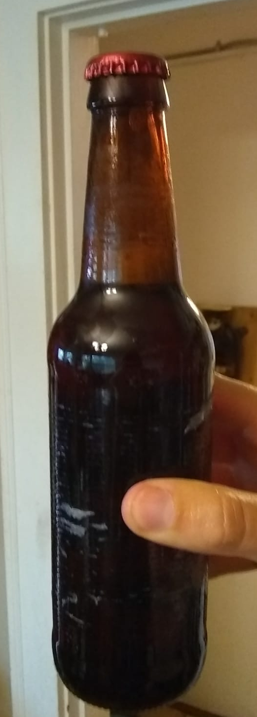 hand holding up a bottle of beer
