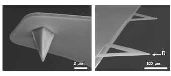 Scanning Electron Image of atomic force microscopy tips