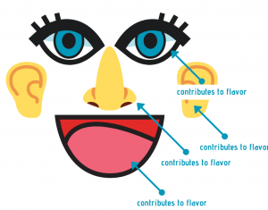 Sight, Hearing, Smell and Taste all contribute to flavor