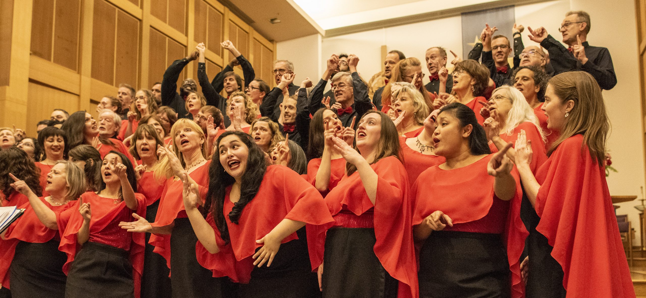 Picture of people singing in a choir