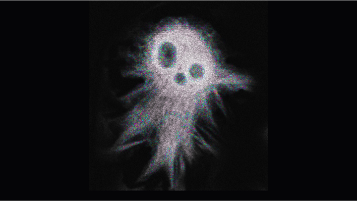 A fluorescent microscopy image that looks like a skull