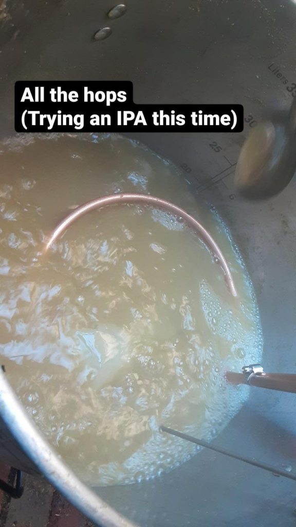 Picture of the liquid with a cooling coil. Text: All the hops (trying an IPA this time)