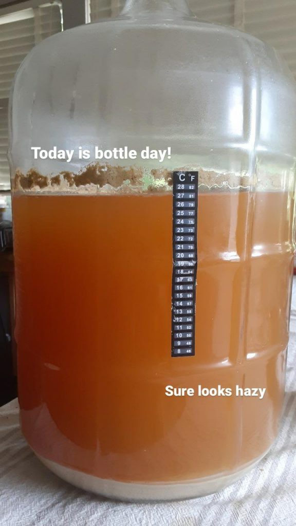 Picture of the carboy with a hazy looking beer on the bottom. There is a lot of sediment. Text: Today is bottle day! Sure looks hazy