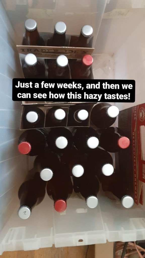 Picture of some bottled beer. Text: Just a few weeks, and then we can see how this hazy tastes.