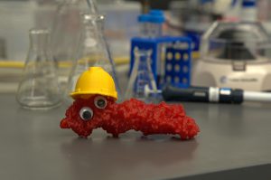 Image of a 3D printed actin filament wearing a little construction hat